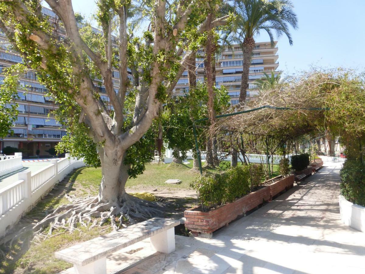 Apartamento Family And Friends - San Juan Playa Alicante Exterior foto